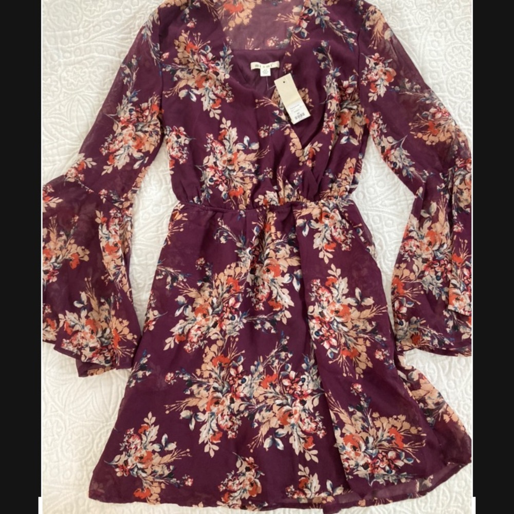 NWT Francesca’s floral long sleeve dress